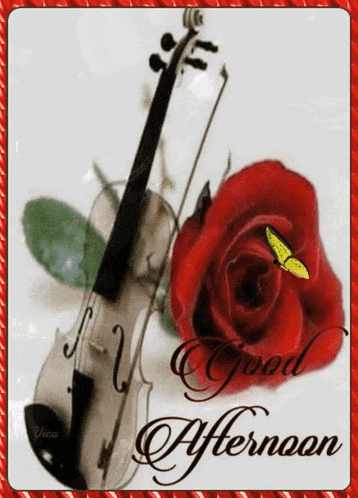 a picture of a violin and a red rose with the words good afternoon
