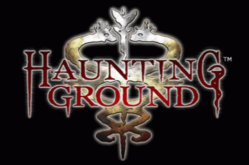 Chrominius Haunting Ground GIF - Chrominius Haunting Ground Capcom GIFs