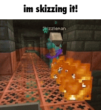 a screenshot of a video game that says ' im skizzing it ' on it
