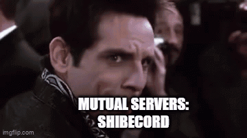 Shibecord Mutual GIF - Shibecord Mutual Mutual Server GIFs