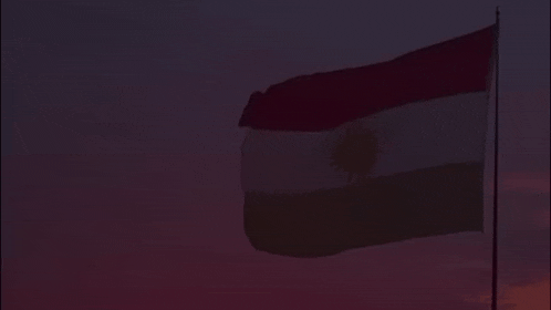 a flag with a sun on it is flying in the dark