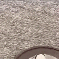 a close up of a plate of food on a table with a carpet in the background .