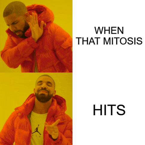 a man in an orange jacket with the words when that mitosis hits below him