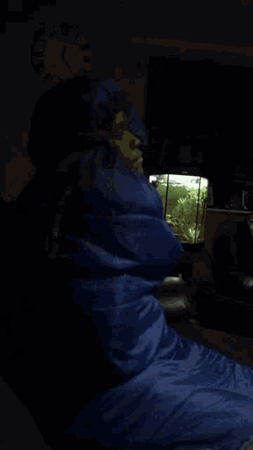 a person wrapped in a blue sleeping bag with a hood on