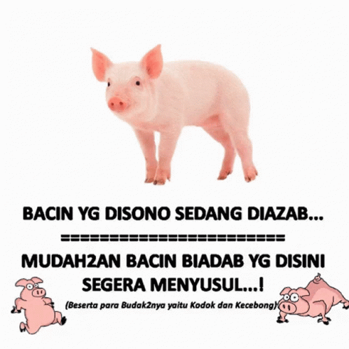 Bacin Pigs GIF - Bacin Pigs Pig GIFs