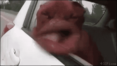a close up of a person 's face coming out of the window of a car .