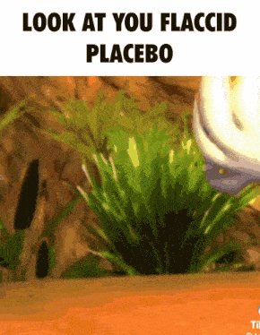 a picture of a plant with the words look at you flaccid placebo above it
