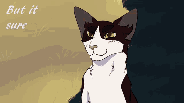 a drawing of a black and white cat with the words but it sure below it