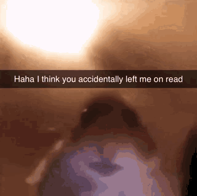 Hamster Meme Left On Read GIF - Hamster Meme Left On Read GIFs