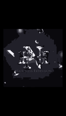a black and white photo of the letter n and the words hair ness extension