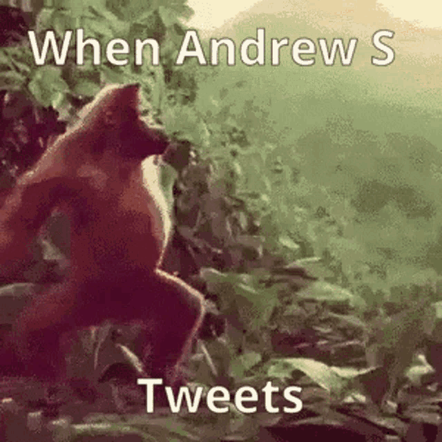Andrew S Monkey Dance GIF - Andrew S Monkey Dance Happy Dance GIFs