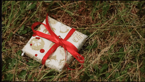a gift wrapped in christmas wrapping paper with a red bow