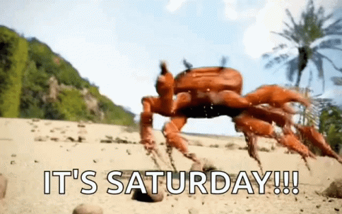 Saturday Crab Rave GIF - Saturday Crab Rave Raving GIFs