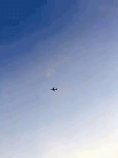 Fly Come GIF - Fly Come With GIFs