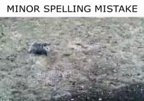 Minor Spelling GIF - Minor Spelling Mistake GIFs