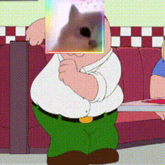 a cartoon of peter griffin holding a picture of a cat on his face