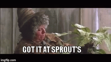 Harrypotter Sprouts GIF - Harrypotter Sprouts Professorsprout GIFs