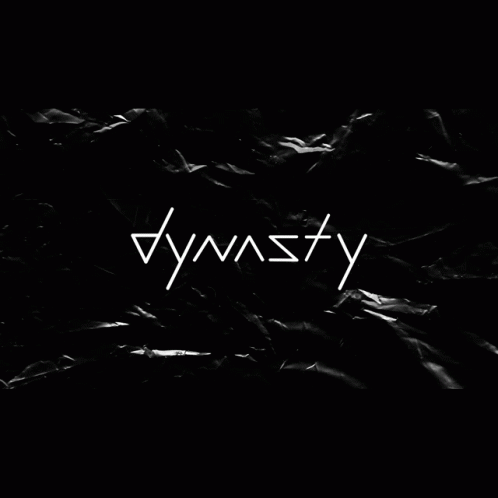 Dynasty Dynastytrades GIF - Dynasty Dynastytrades Glitch GIFs