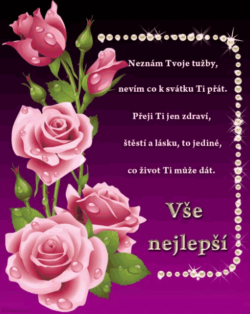 a purple background with pink roses and the words vše nejlepsi on it