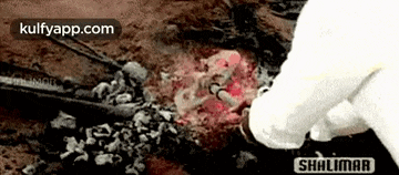 a person is cutting a piece of meat with a pair of scissors on a table .