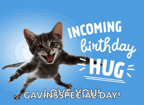 a kitten is jumping in the air with the words incoming birthday hug gavins special day