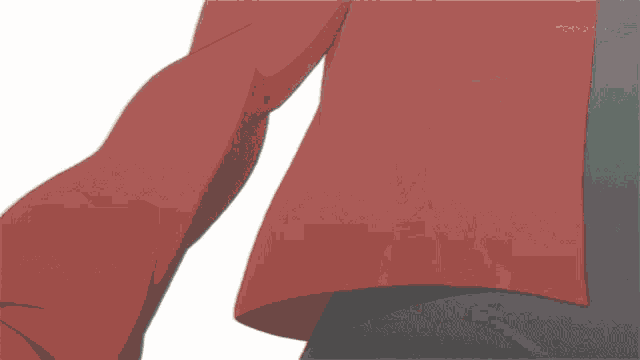 a person in a red shirt and black pants is standing on a white background