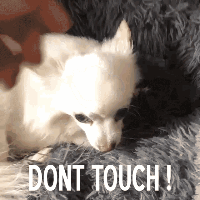Dont Touch No GIF - Dont Touch No No Way GIFs