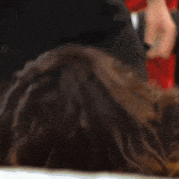 a close up of a person 's head with long hair .