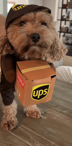Ups Special Woof-delivery GIF - Ups Special Woof-delivery GIFs