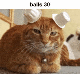 Balls 30 GIF - Balls Ball 30 GIFs