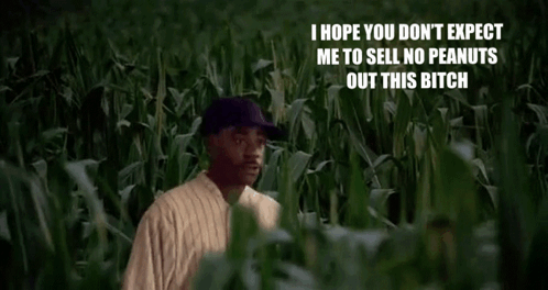 How High Field Of Dreams GIF - How High Field Of Dreams Peanuts GIFs