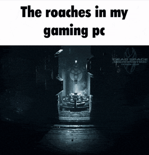 the roaches in my gaming pc is written on a picture