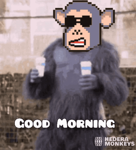 Hmnky Monkey GIF - Hmnky Monkey Nft GIFs