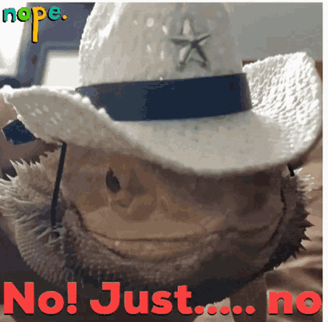 No Nope GIF