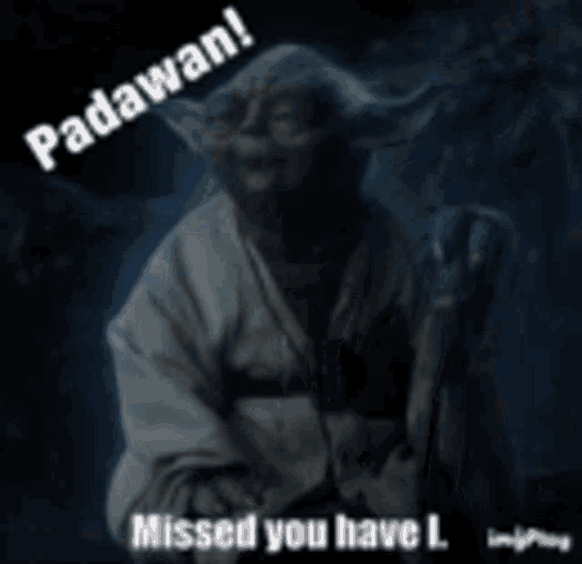 a picture of yoda saying padawan missed you have i