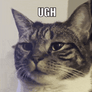 Ugh Grumpy Cat GIF - Ugh Grumpy Cat Cat GIFs