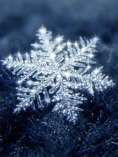 Snowflake Snowing GIF - Snowflake Snow Snowing GIFs