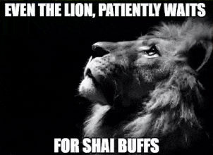 a black and white photo of a lion with the caption `` even the lion , patiently waits for shai buffs ''