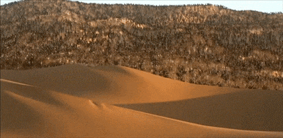 a large group of people are walking on a sand dune
