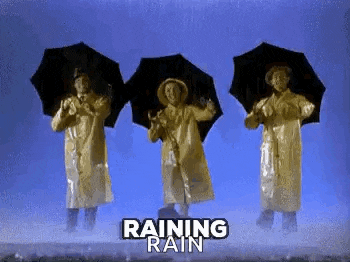 a group of people in raincoats are dancing in the rain .