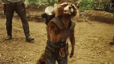 Rocket Raccoon Gotg GIF - Rocket Raccoon Gotg Guardians Of The Galaxy GIFs