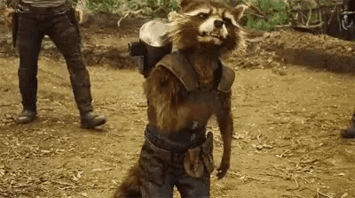 a raccoon is standing on a dirt field holding a sword .