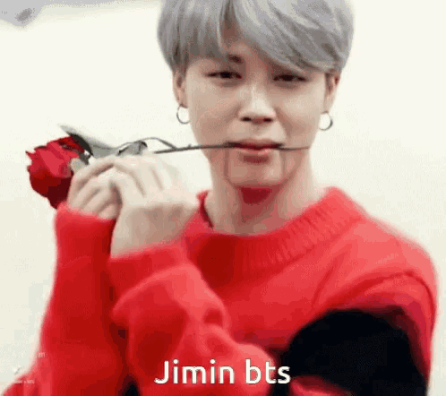 jimin bts is wearing a red sweater and holding a rose in his mouth .