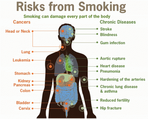 Risks Smoking GIF - Risks Smoking GIFs
