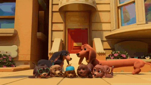 a group of dachshunds standing in front of a house
