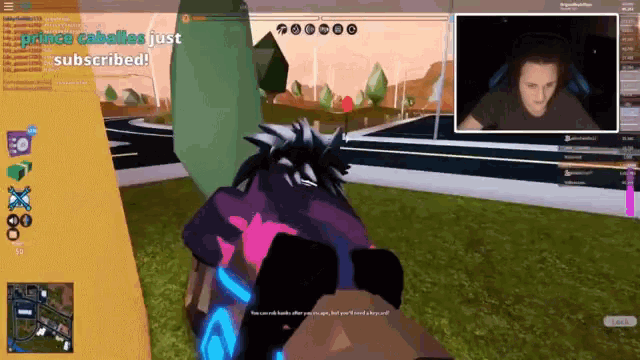 a screenshot of a video game with the words prince caballes just subscribed