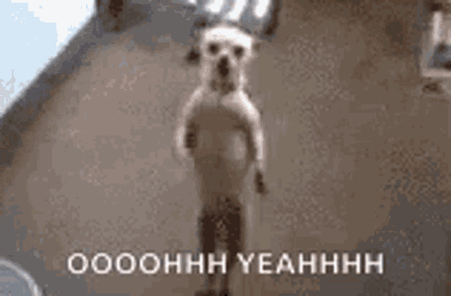 a dog is standing on its hind legs in a room with the words ooohh yeahhhh written on the bottom .
