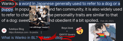 a screenshot of a website that says " what is wanko in bl "