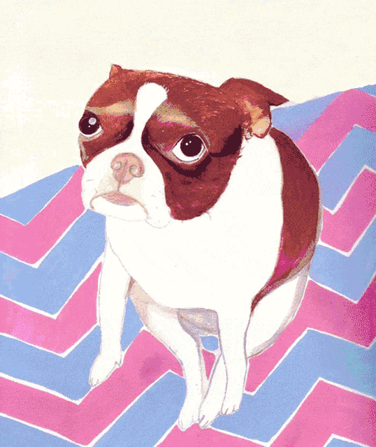 a brown and white dog sitting on a pink and blue rug