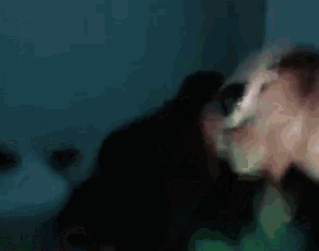 a blurred image of a person laying on a bed .